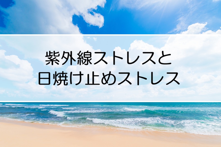 海と空と雲の写真