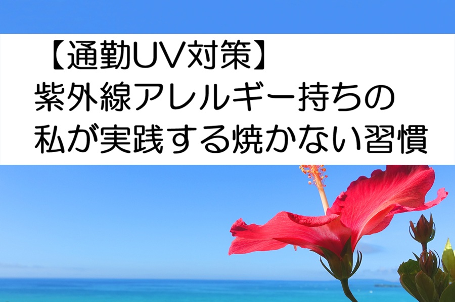 海と空とハイビスカスとタイトルの画像